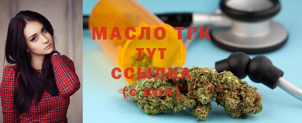 индика Володарск