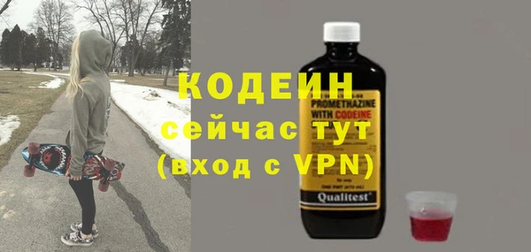 индика Володарск