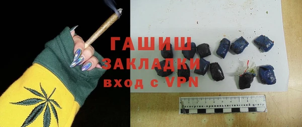 индика Володарск