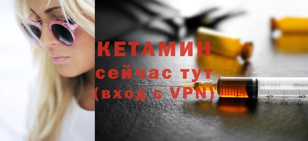 индика Володарск
