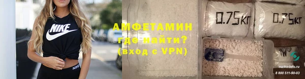 индика Володарск