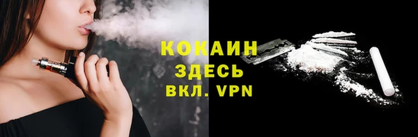 индика Володарск