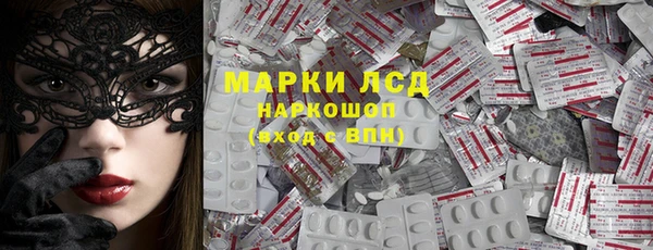 индика Володарск