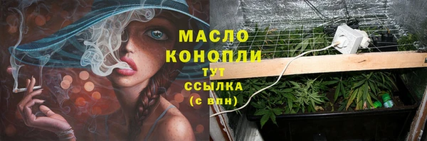 скорость Снежногорск