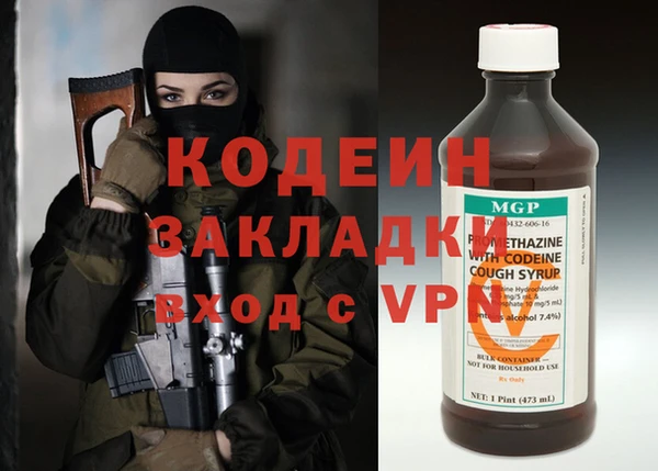 индика Володарск