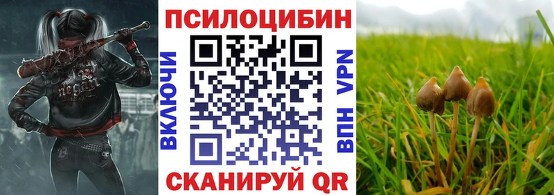 закладка  Ноябрьск  Псилоцибиновые грибы ЛСД 